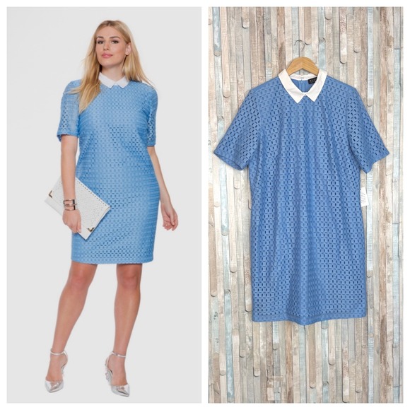 Eloquii Dresses & Skirts - New Eloquii Blue Eyelet Lace Shift Dress Poplin Collar Collared Plus Size 18 NWT
